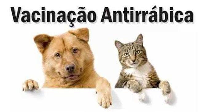 VACINAÇÃO ANTIRRÁBICA 